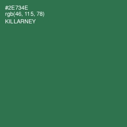 #2E734E - Killarney Color Image