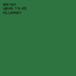#2E7441 - Killarney Color Image