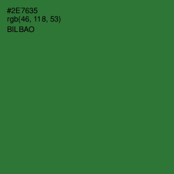 #2E7635 - Bilbao Color Image