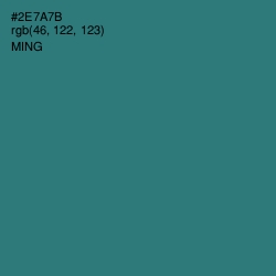 #2E7A7B - Ming Color Image