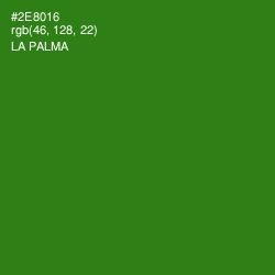 #2E8016 - La Palma Color Image