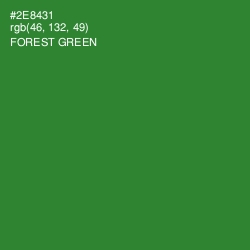 #2E8431 - Forest Green Color Image