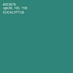 #2E8576 - Eucalyptus Color Image