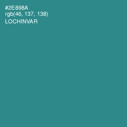 #2E898A - Lochinvar Color Image