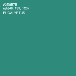 #2E8B7B - Eucalyptus Color Image