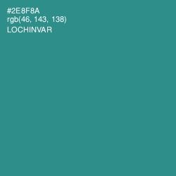 #2E8F8A - Lochinvar Color Image