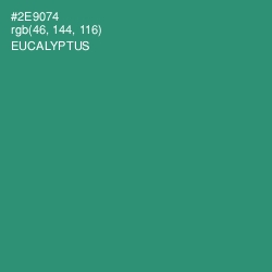 #2E9074 - Eucalyptus Color Image