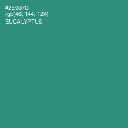 #2E907C - Eucalyptus Color Image
