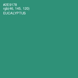 #2E9178 - Eucalyptus Color Image