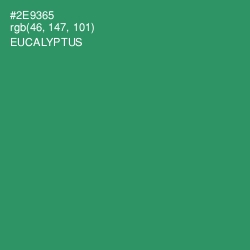 #2E9365 - Eucalyptus Color Image