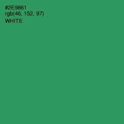 #2E9861 - Sea Green Color Image