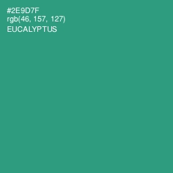 #2E9D7F - Eucalyptus Color Image