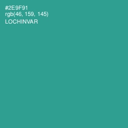 #2E9F91 - Lochinvar Color Image