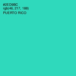 #2ED9BC - Puerto Rico Color Image