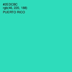 #2EDCBC - Puerto Rico Color Image