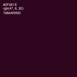 #2F061E - Tamarind Color Image