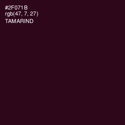 #2F071B - Tamarind Color Image