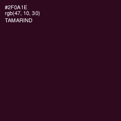 #2F0A1E - Tamarind Color Image