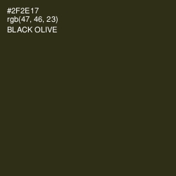 #2F2E17 - Black Olive Color Image