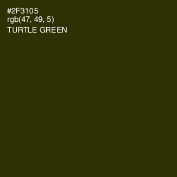 #2F3105 - Turtle Green Color Image