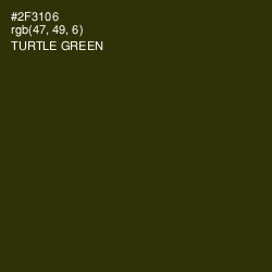 #2F3106 - Turtle Green Color Image