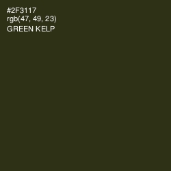 #2F3117 - Green Kelp Color Image