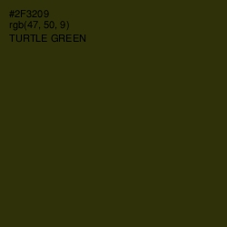 #2F3209 - Turtle Green Color Image