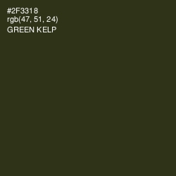 #2F3318 - Green Kelp Color Image