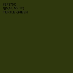 #2F370C - Turtle Green Color Image