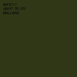 #2F3717 - Mallard Color Image