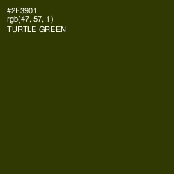 #2F3901 - Turtle Green Color Image