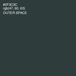 #2F3C3C - Outer Space Color Image