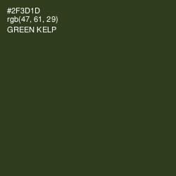#2F3D1D - Green Kelp Color Image