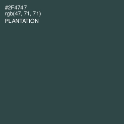 #2F4747 - Plantation Color Image