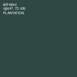 #2F4844 - Plantation Color Image