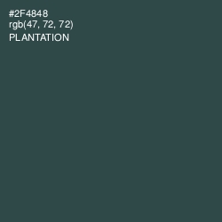 #2F4848 - Plantation Color Image