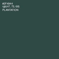 #2F4944 - Plantation Color Image