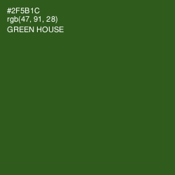 #2F5B1C - Green House Color Image