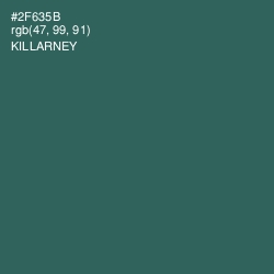 #2F635B - Killarney Color Image