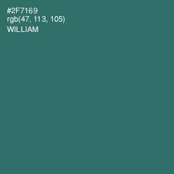 #2F7169 - William Color Image