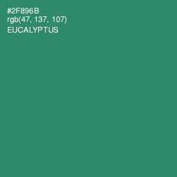 #2F896B - Eucalyptus Color Image