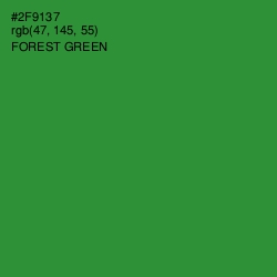 #2F9137 - Forest Green Color Image