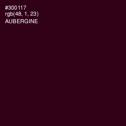 #300117 - Aubergine Color Image