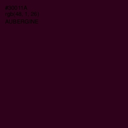 #30011A - Aubergine Color Image