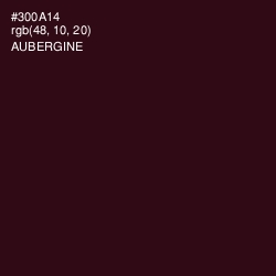 #300A14 - Aubergine Color Image