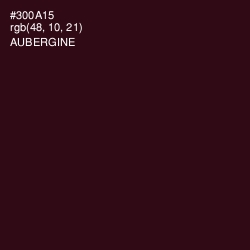 #300A15 - Aubergine Color Image