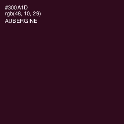 #300A1D - Aubergine Color Image