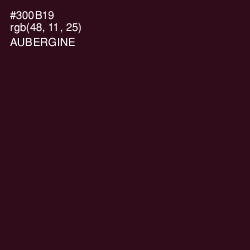 #300B19 - Aubergine Color Image