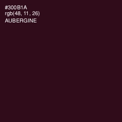#300B1A - Aubergine Color Image