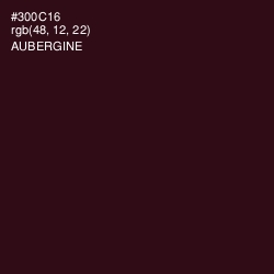 #300C16 - Aubergine Color Image